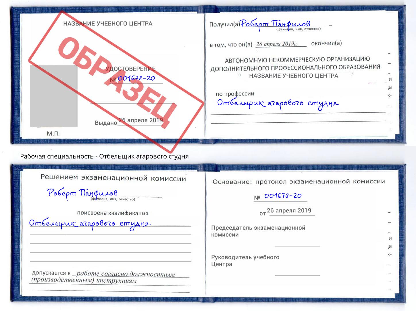 Отбельщик агарового студня Малгобек
