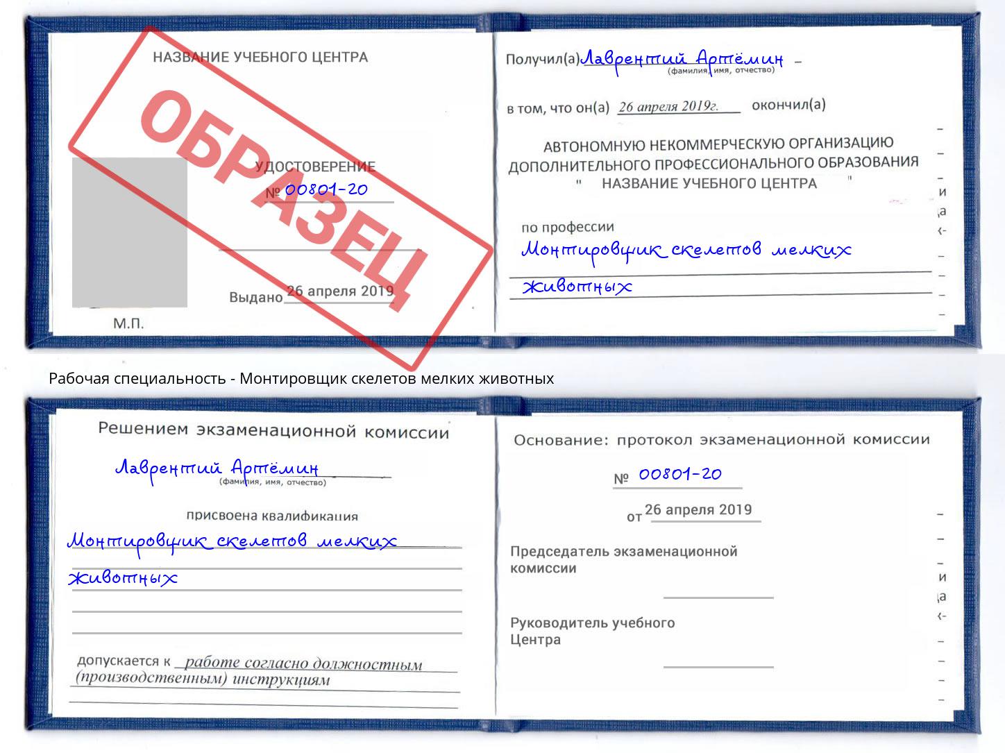 Монтировщик скелетов мелких животных Малгобек