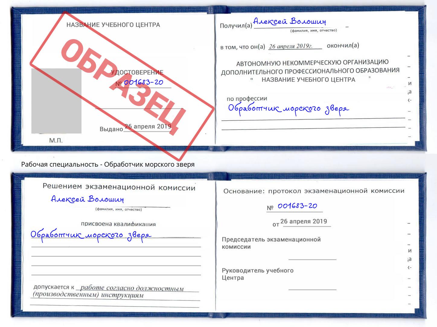 Обработчик морского зверя Малгобек