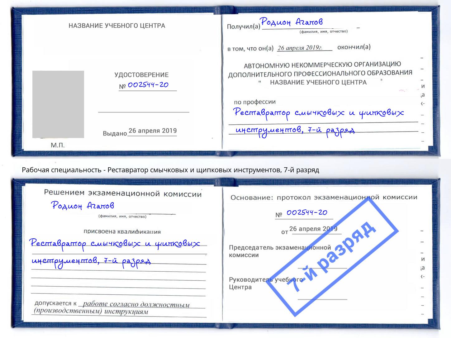 корочка 7-й разряд Реставратор смычковых и щипковых инструментов Малгобек