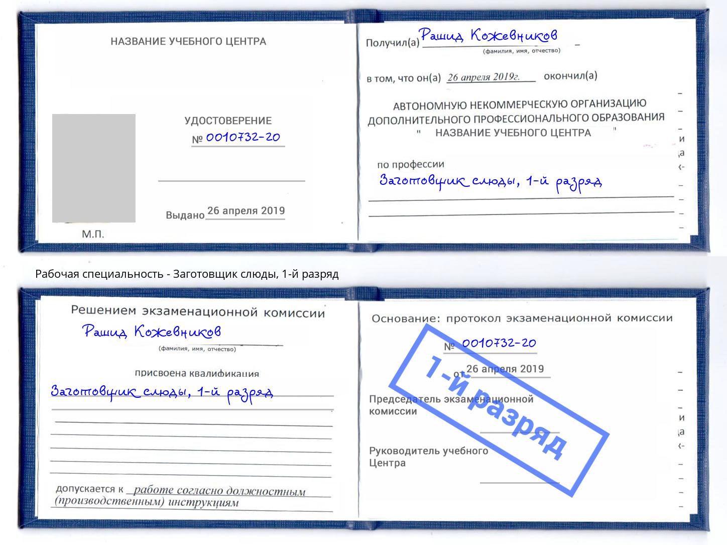 корочка 1-й разряд Заготовщик слюды Малгобек